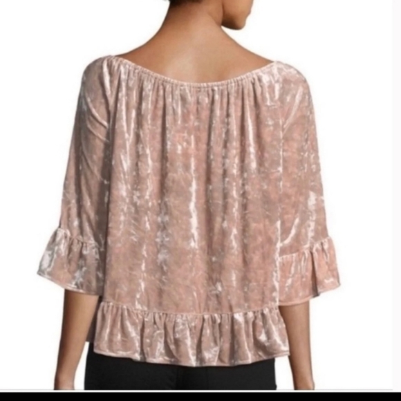 Blush pink crushed velvet top by Sanctuary size Medium - Picture 2 of 7